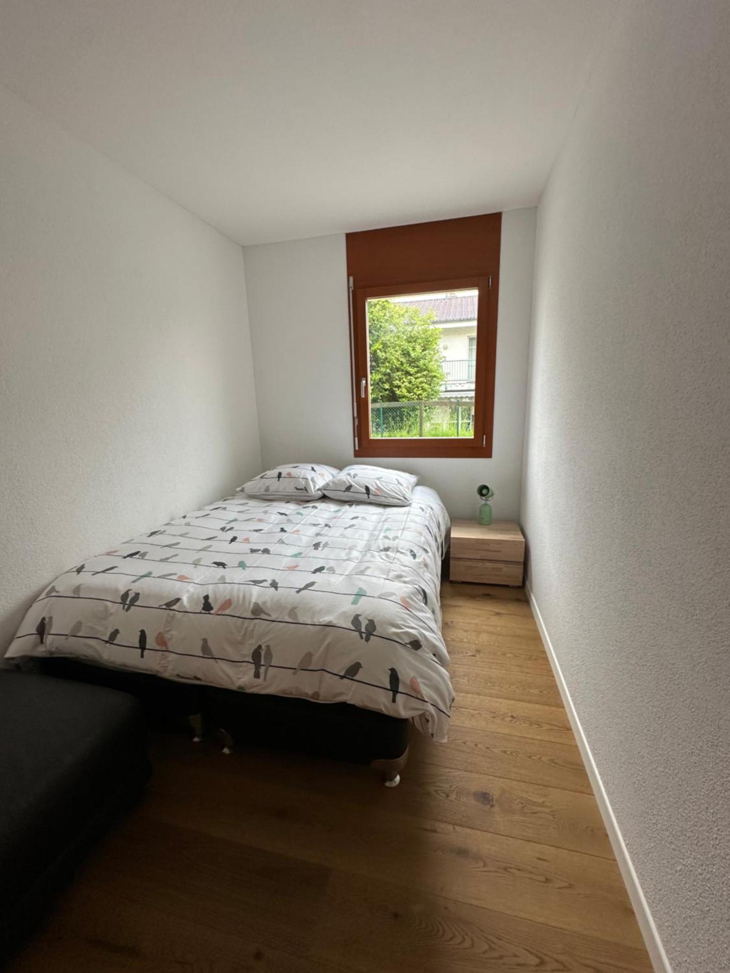 Komfortable Ferienwohnung In Beckenried, Nidwalden Екстериор снимка